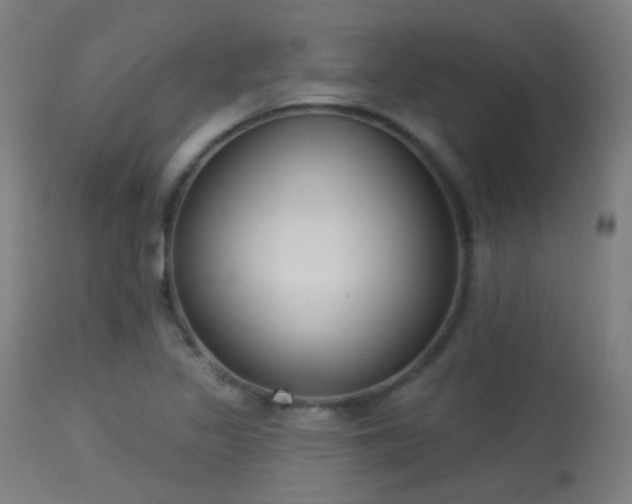 X0000113321317200909211146