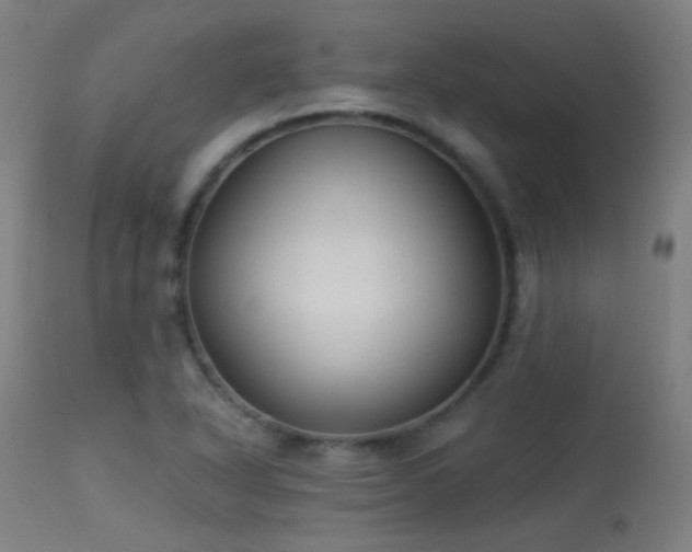 X0000113321318200909211146