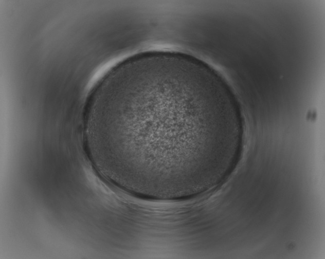 X0000113321319200909211146