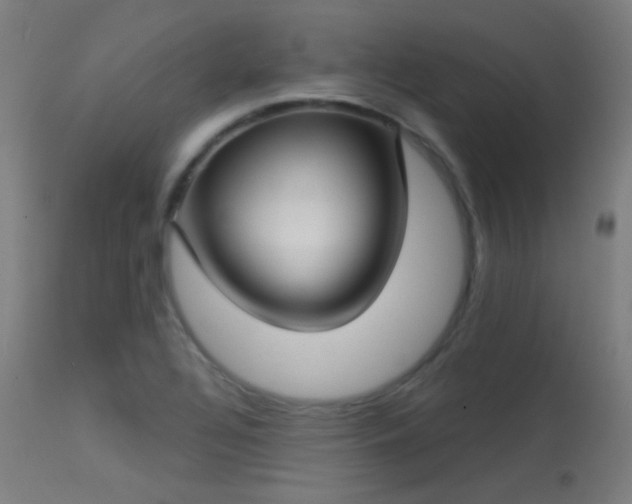 X0000113321320200909211146