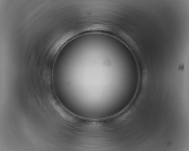 X0000113321321200909211146