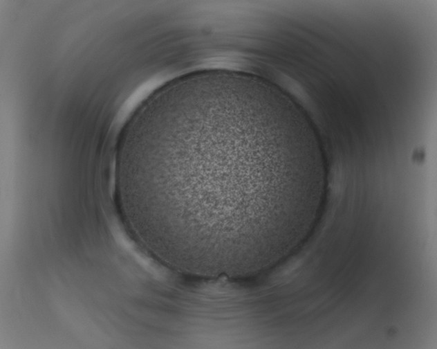 X0000113321323200909211146