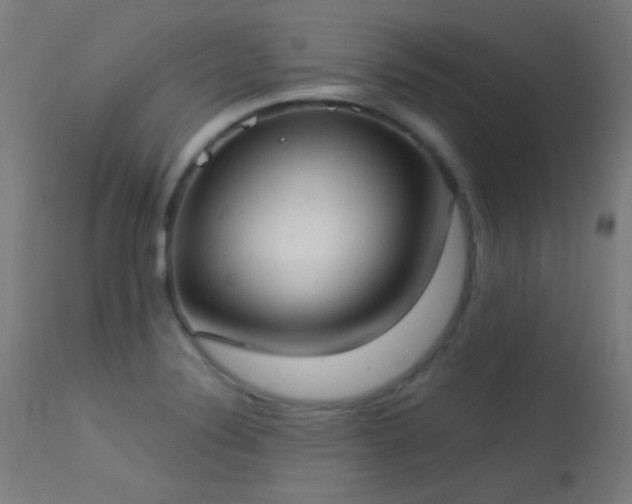 X0000113321324200909211146