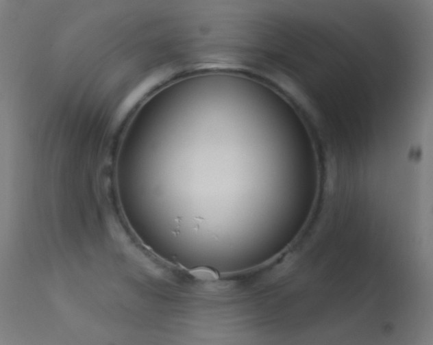 X0000113321325200909211146