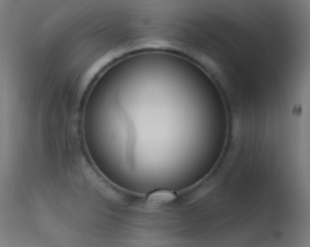 X0000113321326200909211146