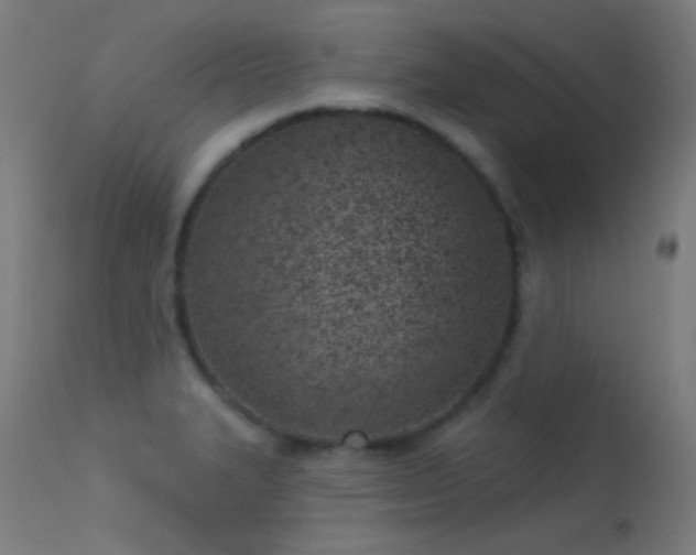 X0000113321327200909211146