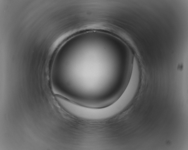 X0000113321328200909211146