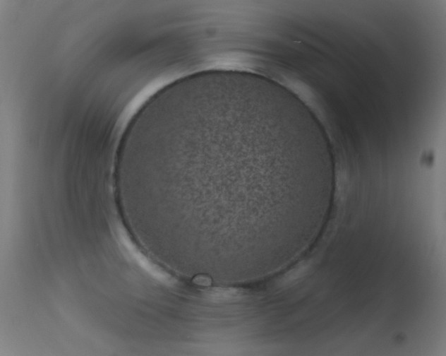 X0000113321331200909211146