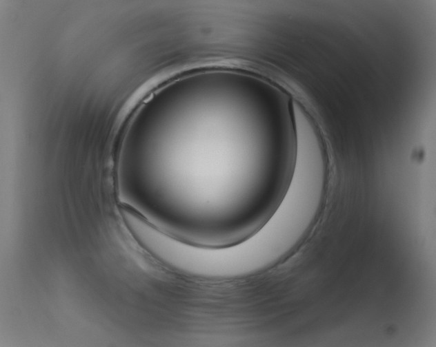 X0000113321332200909211146