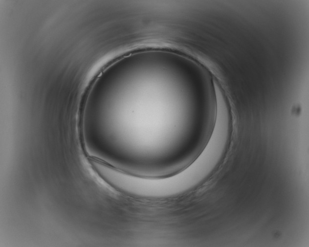 X0000113321334200909211146