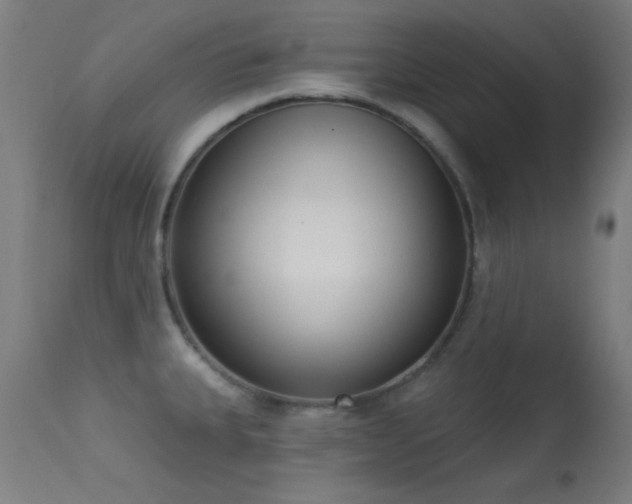 X0000113321335200909211146