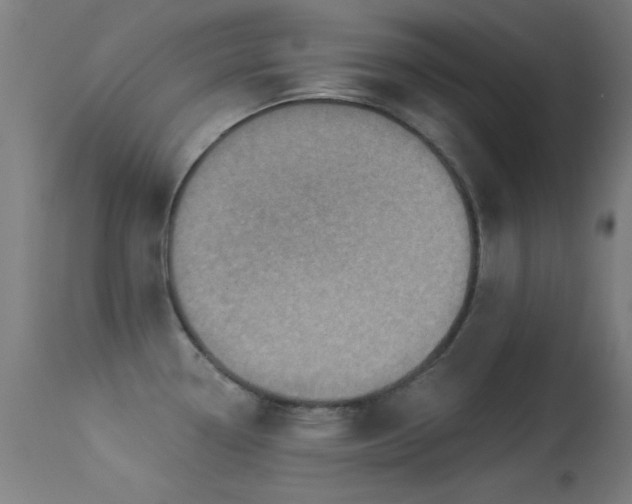 X0000113321338200909211146