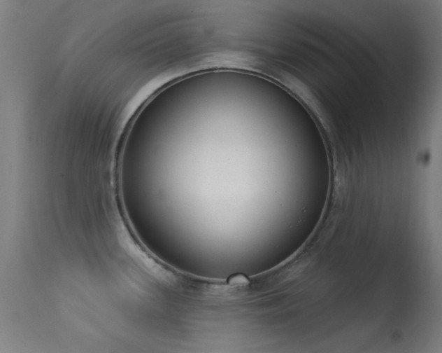 X0000113321339200909211146