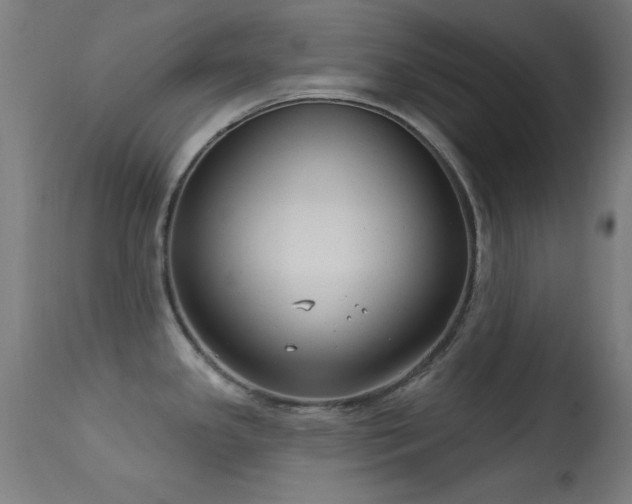 X0000113321341200909211146