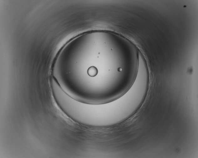 X0000113321342200909211146