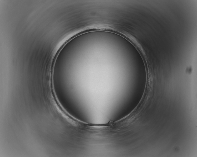 X0000113321343200909211146