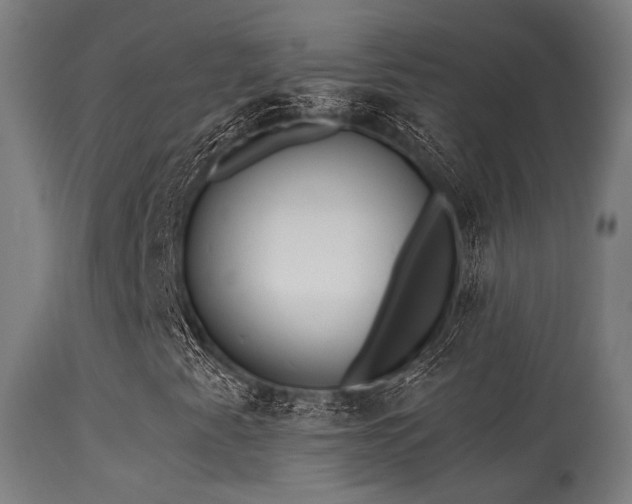 X0000113321345200909211145