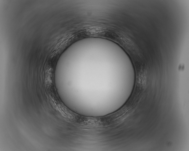 X0000113321346200909211145