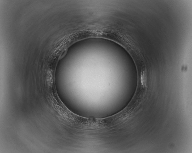 X0000113321347200909211145