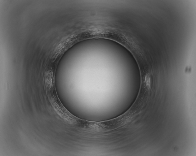 X0000113321348200909211145