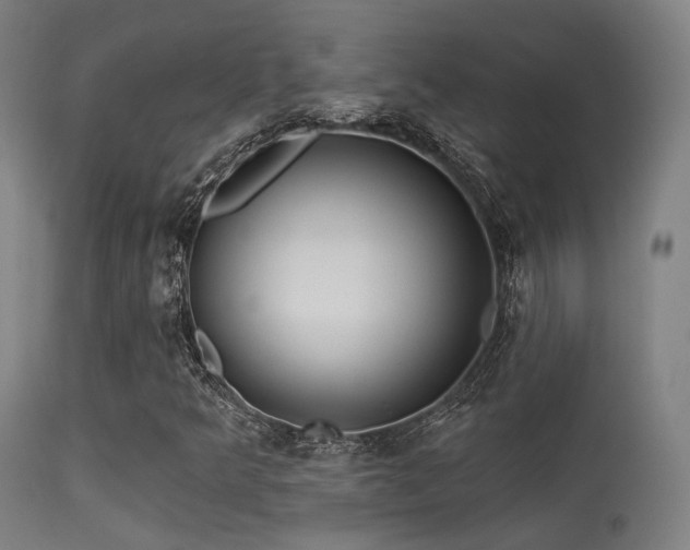 X0000113321349200909211145