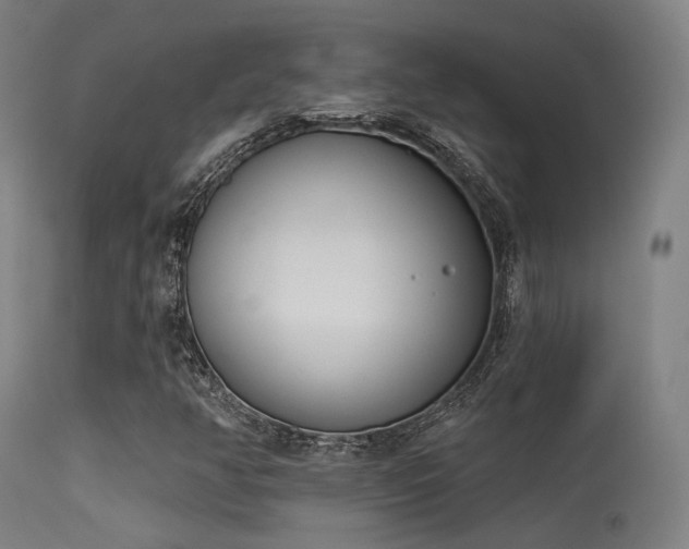 X0000113321350200909211145