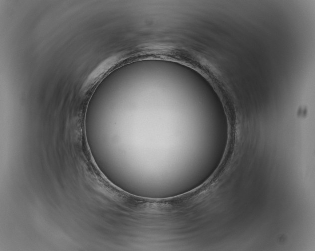 X0000113321354200909211145