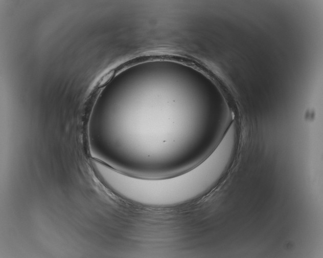 X0000113321356200909211145