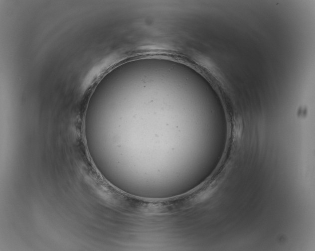 X0000113321357200909211145