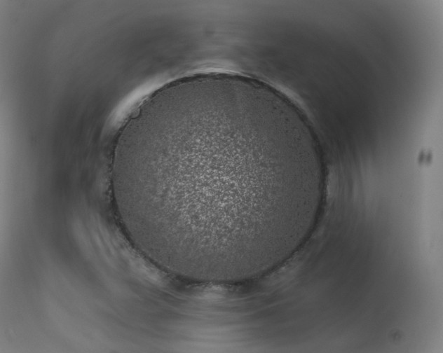 X0000113321359200909211145