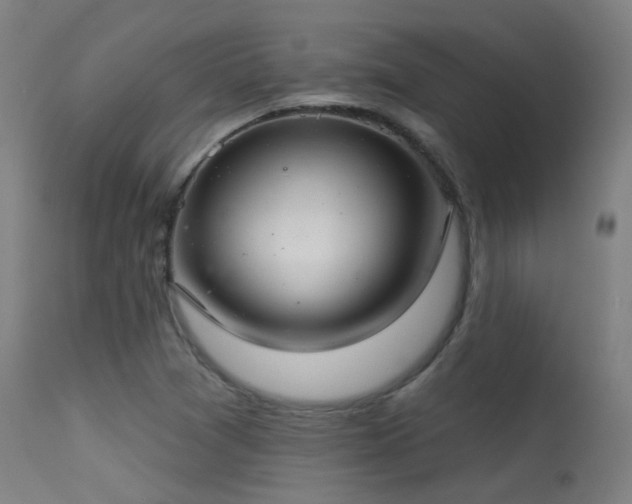 X0000113321361200909211145