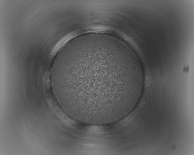 X0000113321362200909211145