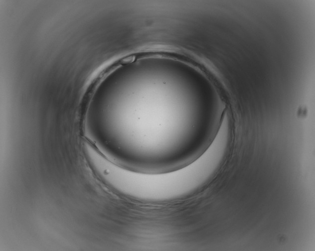 X0000113321364200909211145