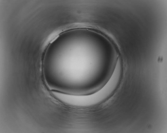 X0000113321365200909211145