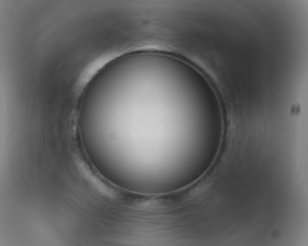 X0000113321367200909211145