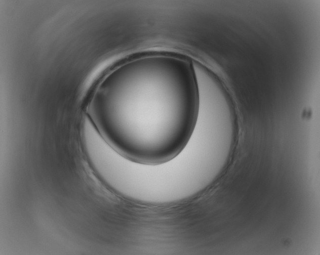 X0000113321368200909211145