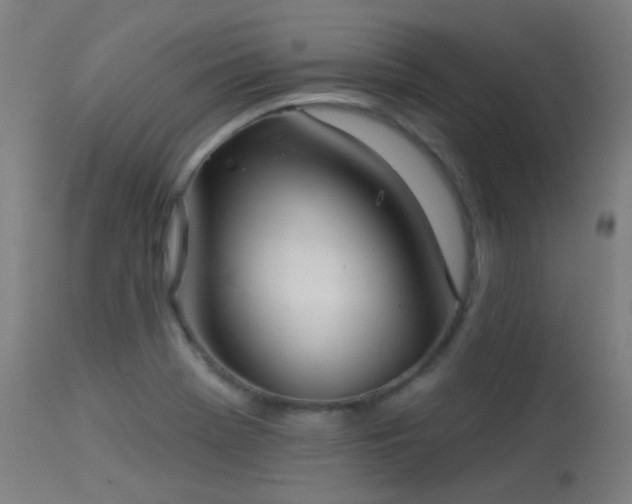 X0000113321369200909211145