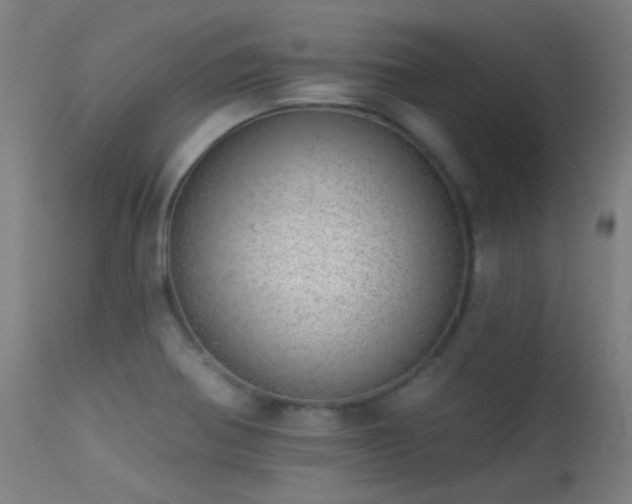 X0000113321370200909211145