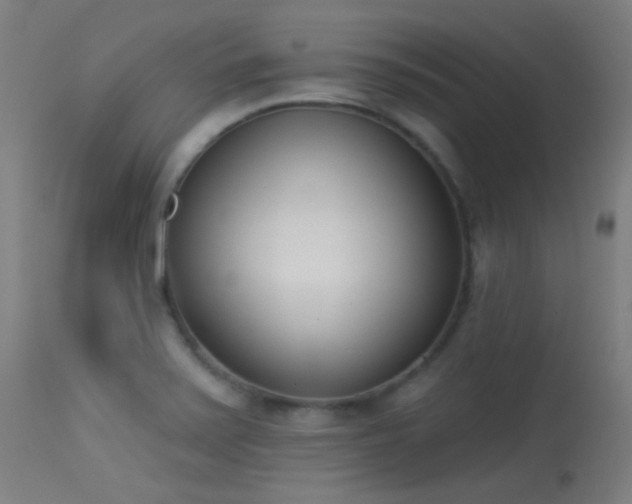 X0000113321371200909211145