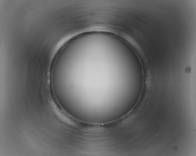 X0000113321372200909211145