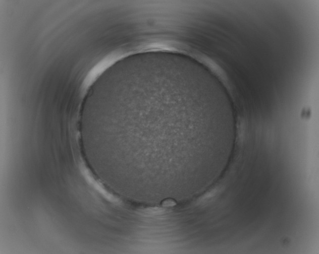 X0000113321373200909211145