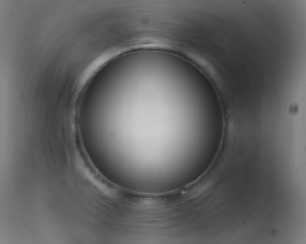 X0000113321375200909211145