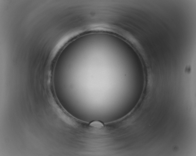 X0000113321376200909211145