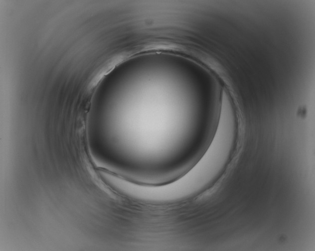 X0000113321377200909211145