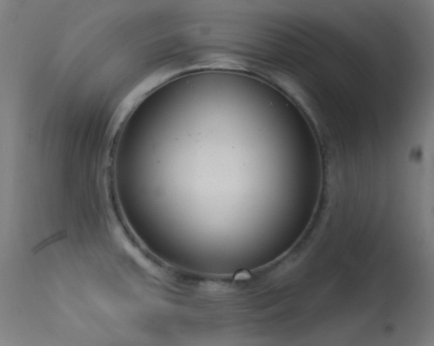 X0000113321379200909211145