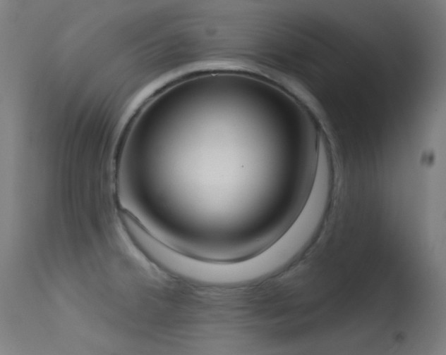 X0000113321380200909211145