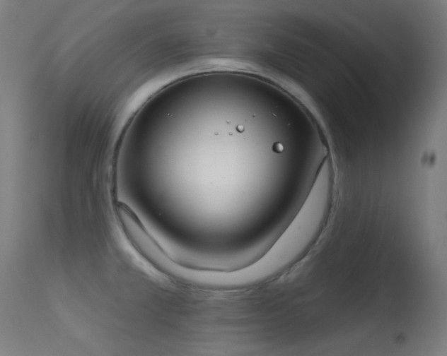 X0000113321381200909211145