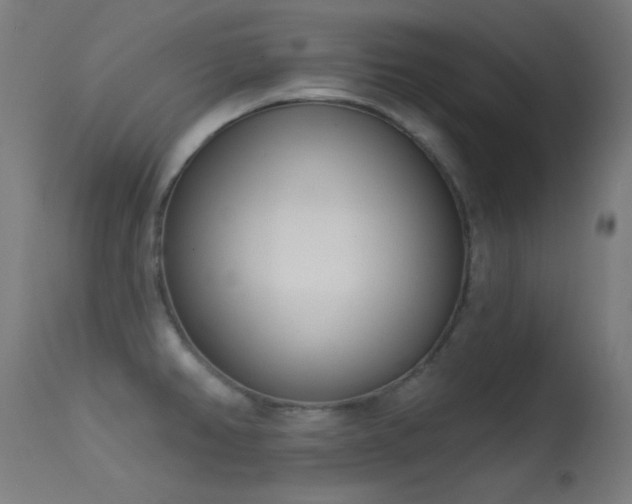 X0000113321382200909211145