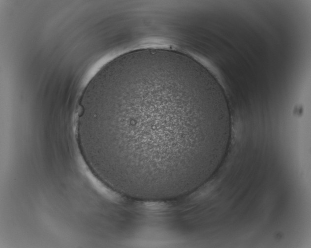 X0000113321383200909211145