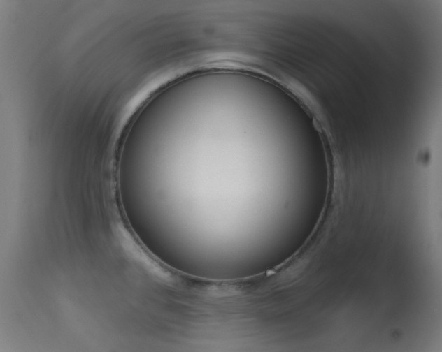 X0000113321384200909211145